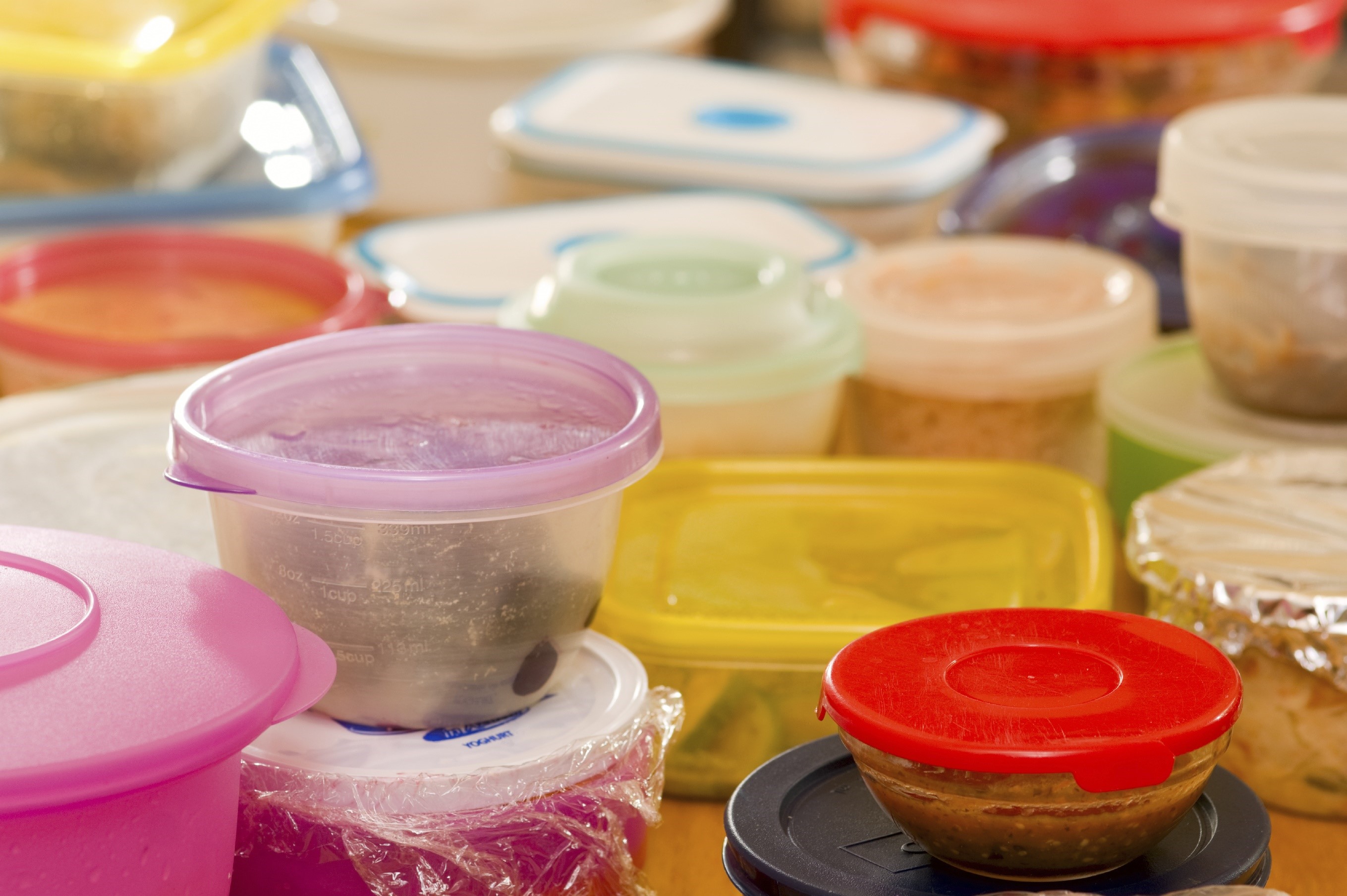plastic leftover container