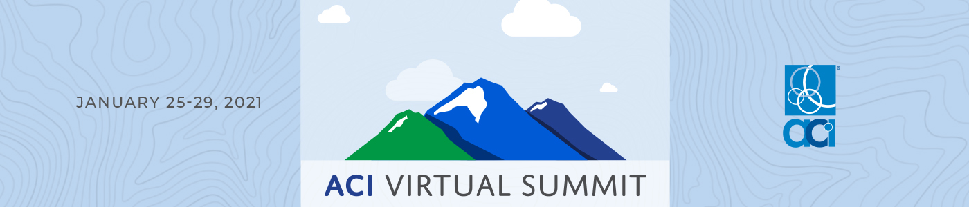 Virtual Summit Logo