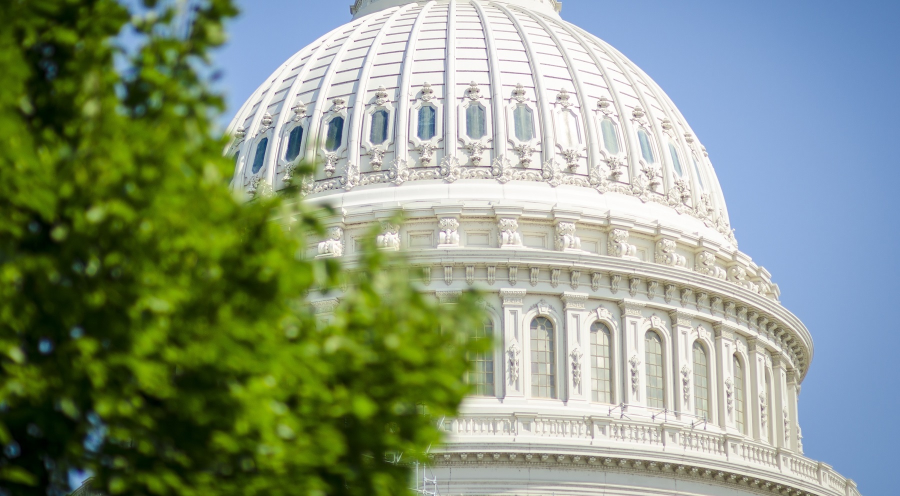 dome of the Capitol Building