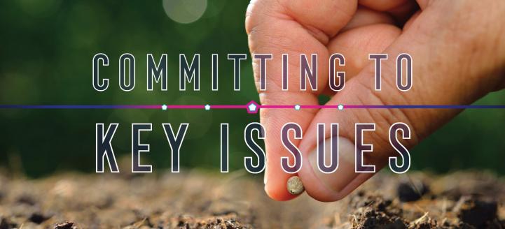 Hand planting seeds