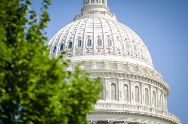 Dome of the Capitol Building