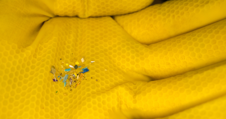 pieces of microplastic on a gloved hand