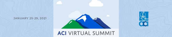 Virtual Summit Logo