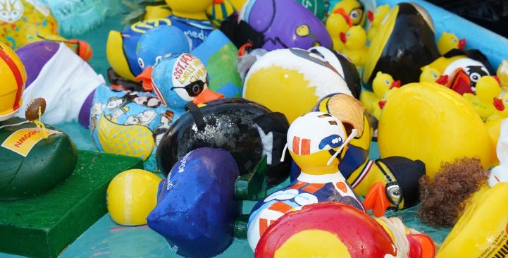 duck race