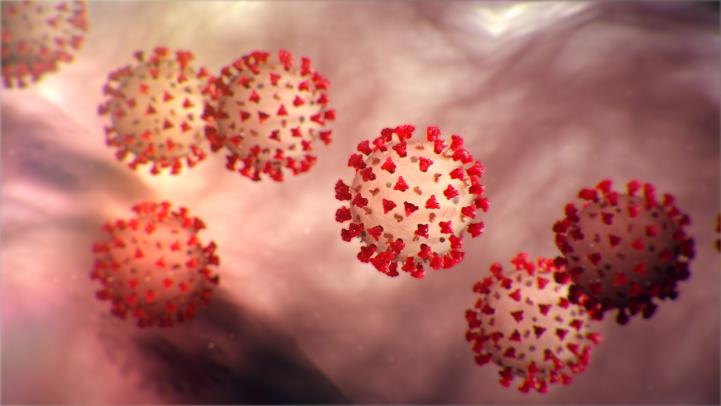 coronavirus